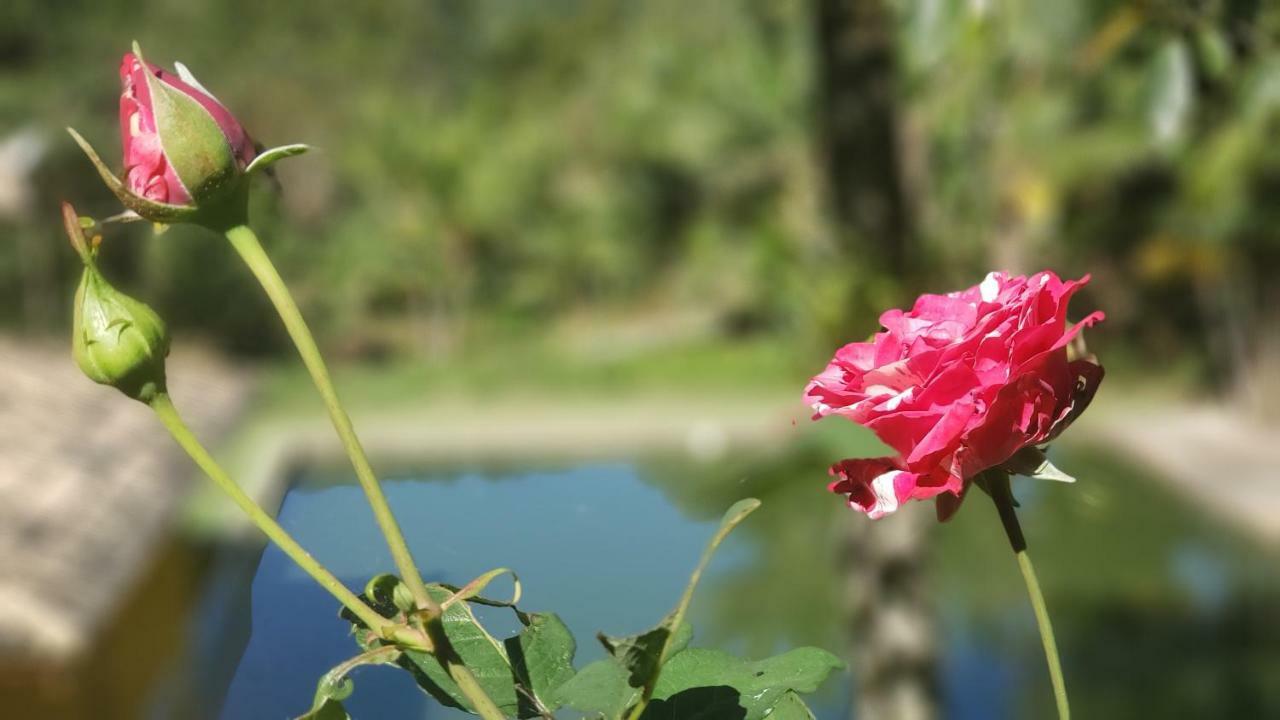Recanto Luamar Pousada Sana Esterno foto