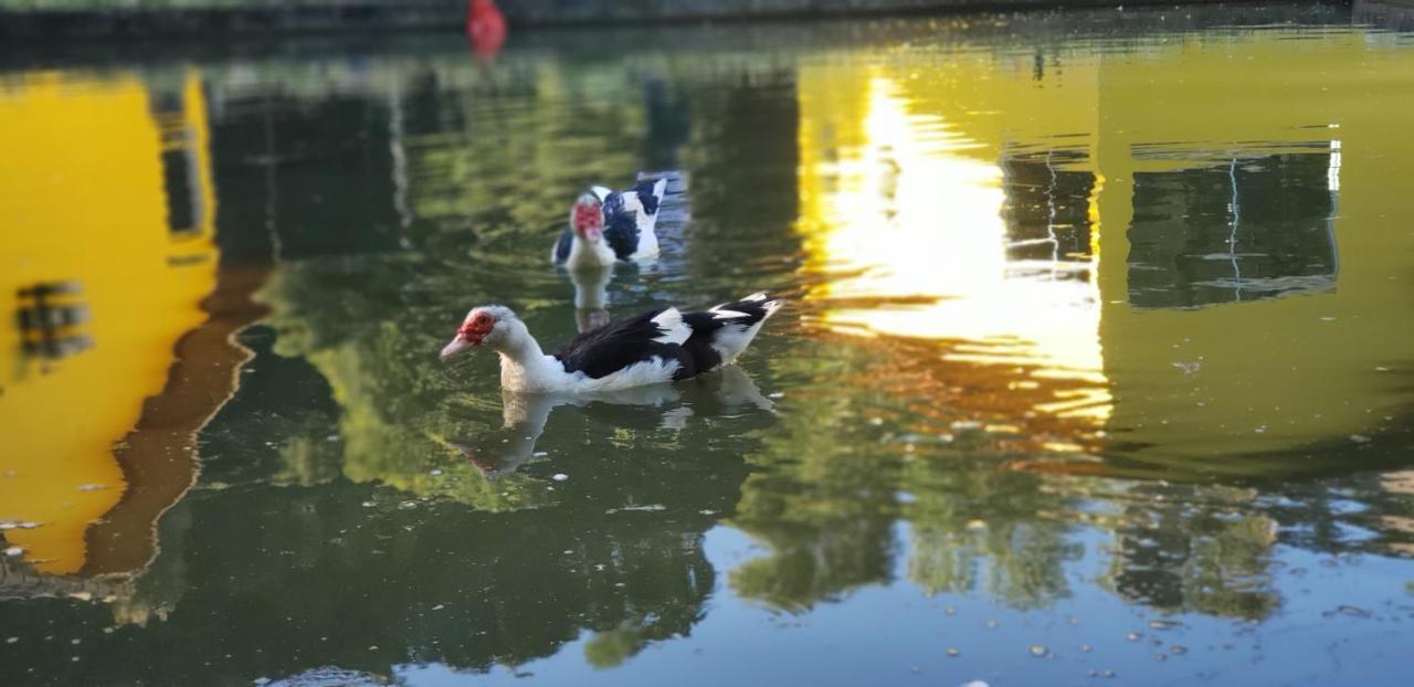 Recanto Luamar Pousada Sana Esterno foto